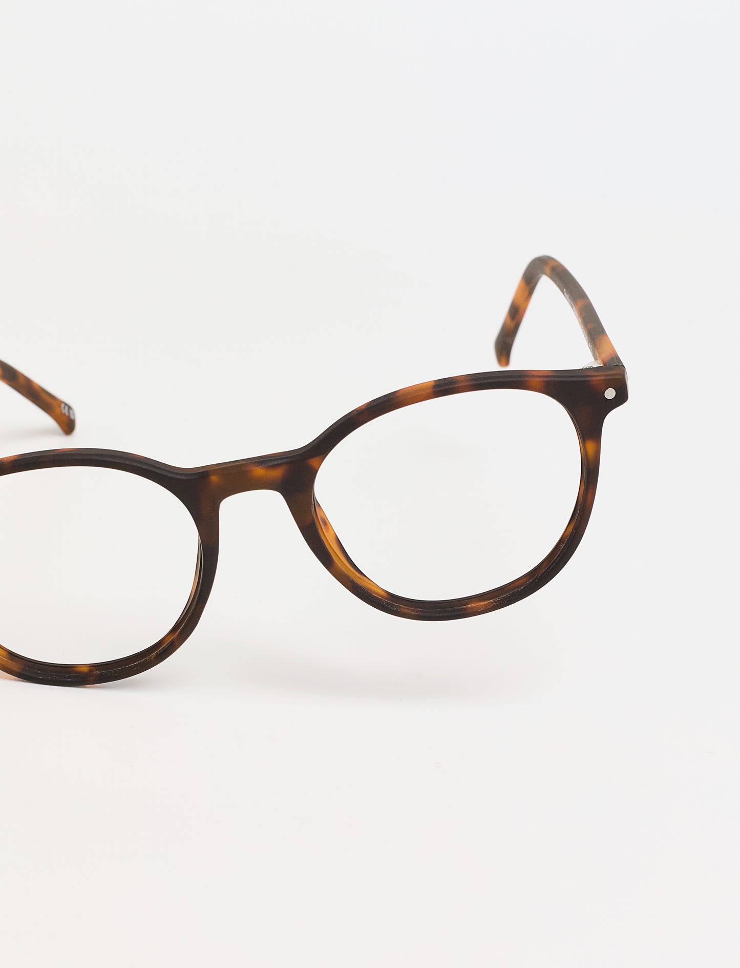 Gafas Campania Rubber Green Tortoise frontal