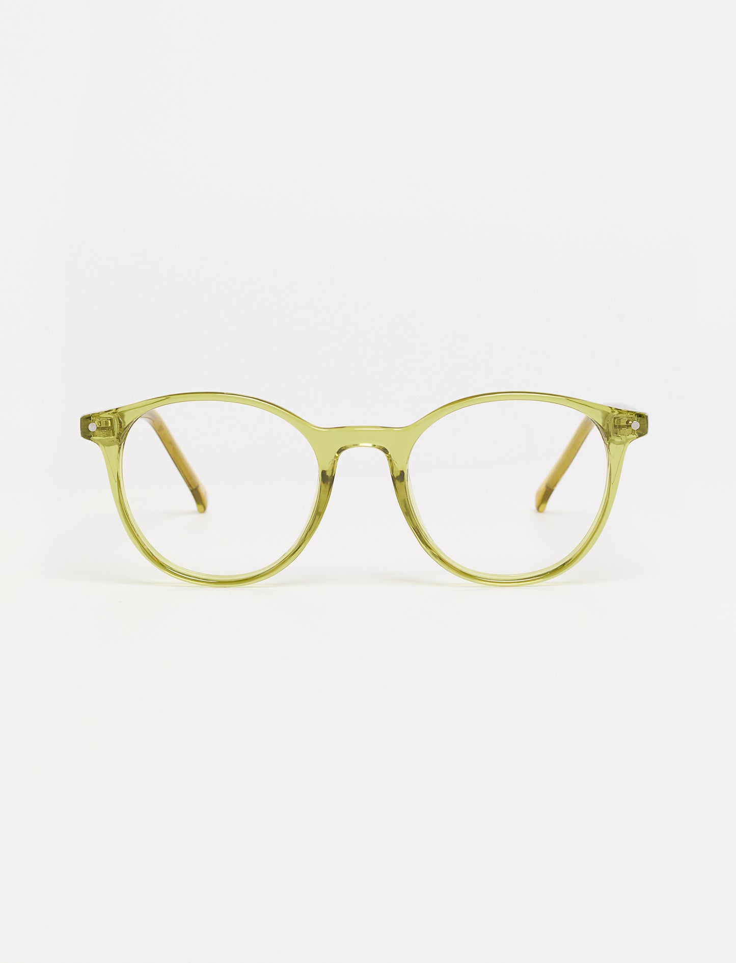Gafas Campania Shiny Olive Green lateral