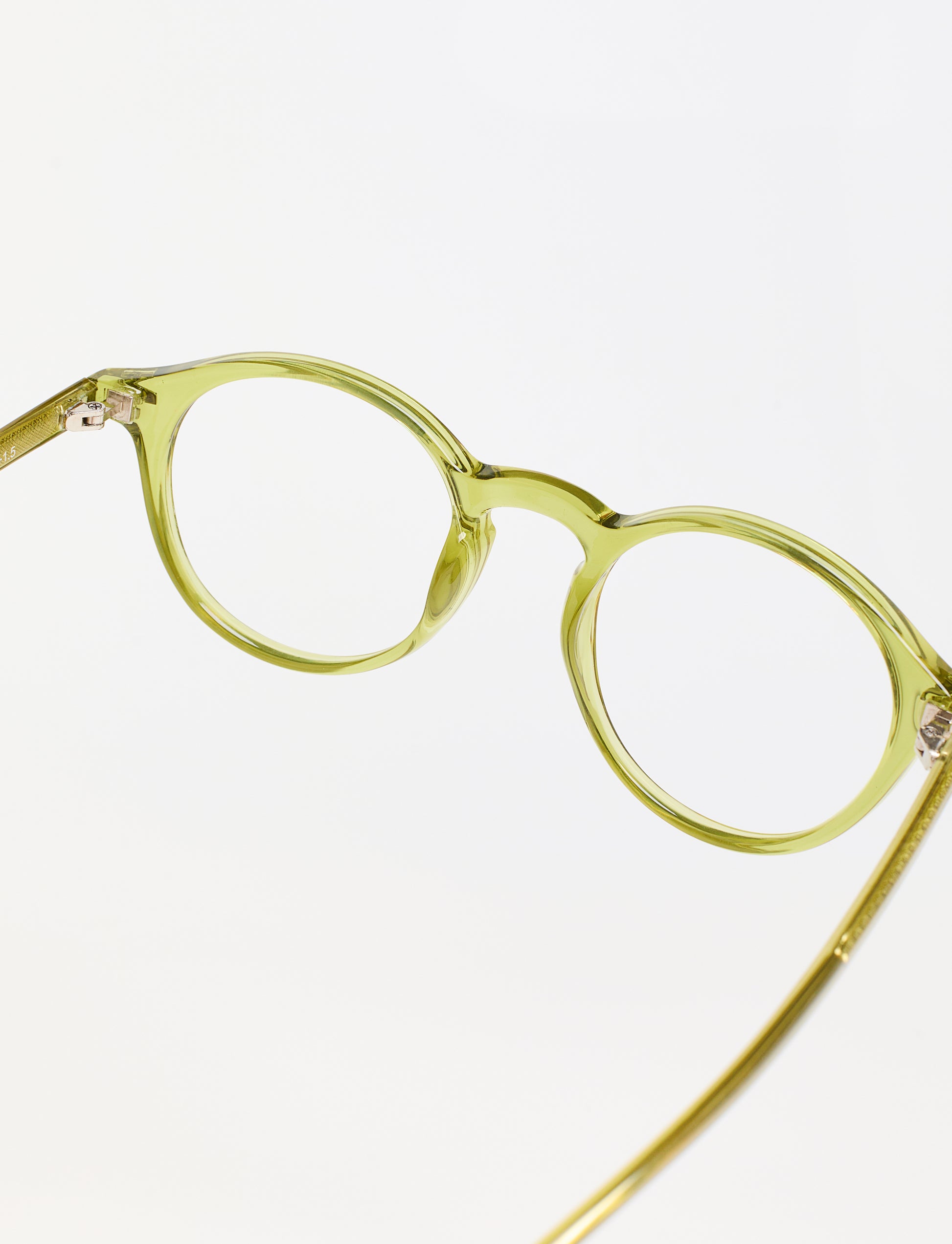 Gafas Lazio Shiny Olive Green posterior