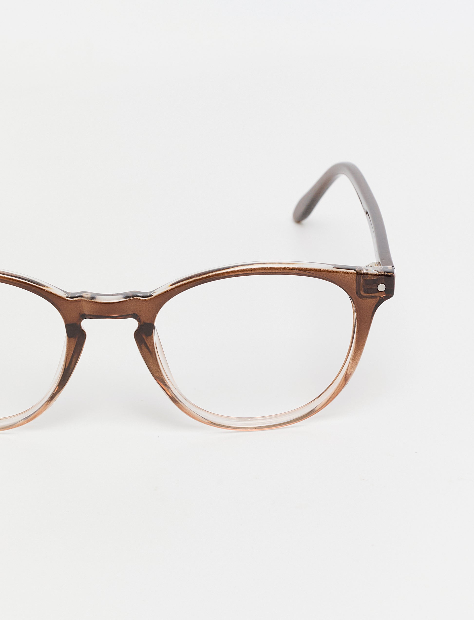 Gafas Umbria Shiny Brown/Champagne frontal